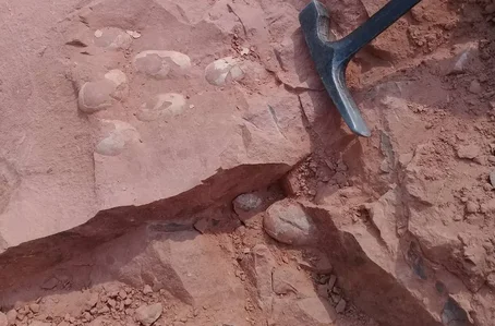 William Nava encontrou uma ninhada de ovos fósseis que podem ser de crocodilos jurássicos e de um dinossauro, em Presidente Prudente, interior de São Paulo