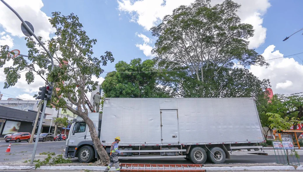 Árvore cai em cima de caminhão
