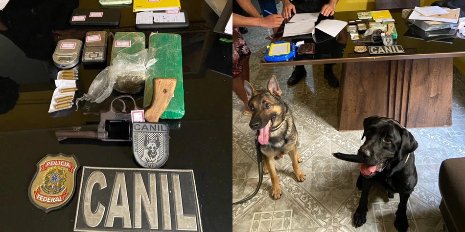 Equipe do Canil da Polícia Militar deu apoio na operação