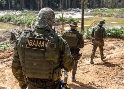 Ibama