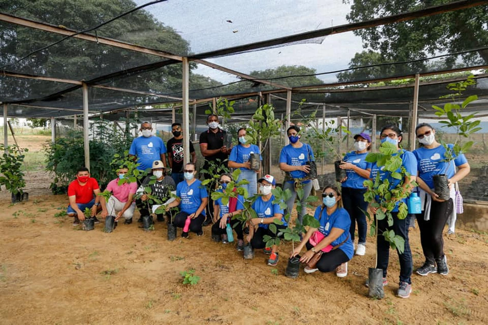 Oeiras conquista Selo Ambiental A