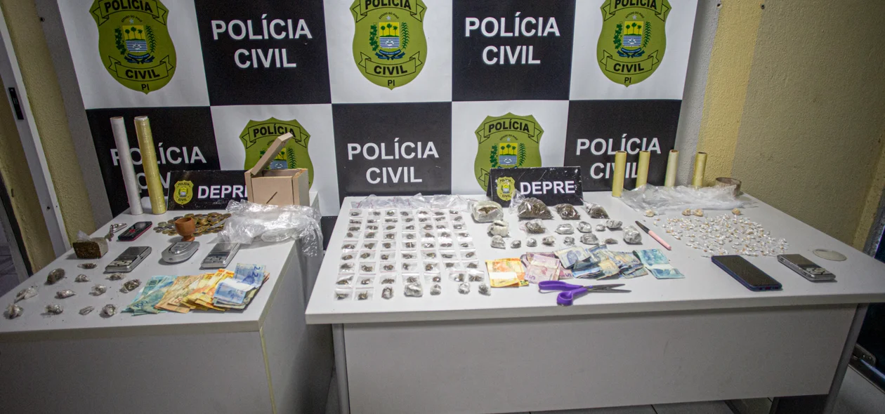 Operação foi realizada pela Polícia Civil