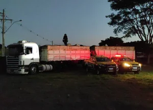 Polícia Militar de Mato Grosso do Sul apreende 36 toneladas de maconha