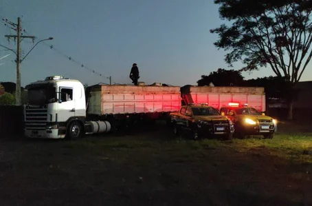 Polícia Militar de Mato Grosso do Sul apreende 36 toneladas de maconha