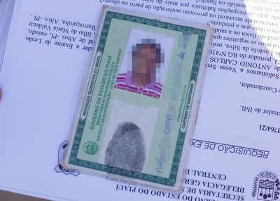 Acusada de furtos em Altos foi presa pela Polícia Civil