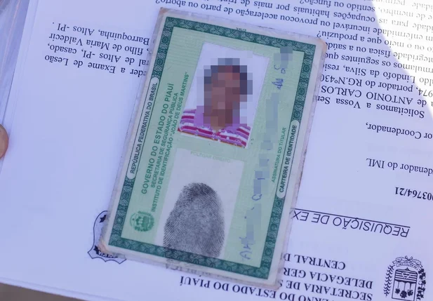 Acusada de furtos em Altos foi presa pela Polícia Civil