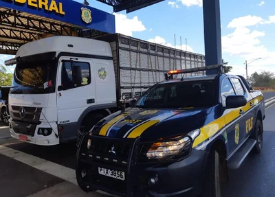 Caminhão conduzido pelo acusado