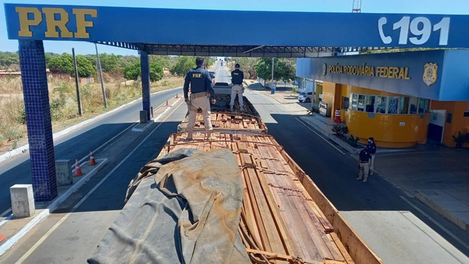 Carga ilegal de madeira