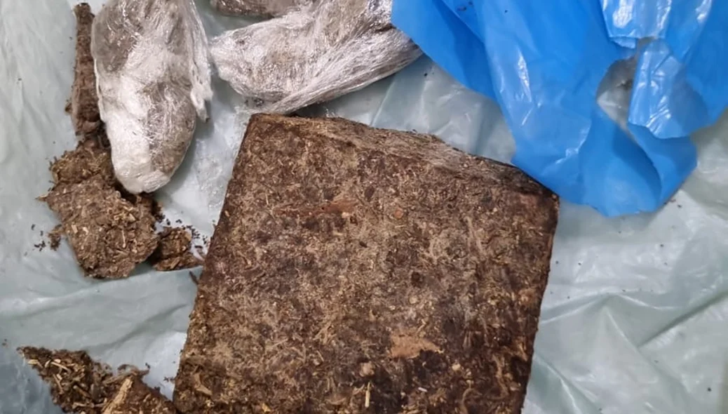 Droga apreendida na residência com os suspeitos