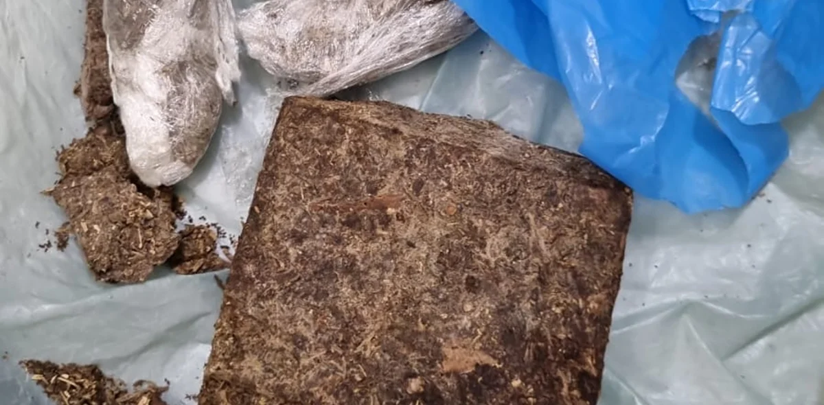 Droga apreendida na residência com os suspeitos