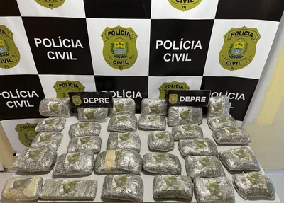 Droga apreendida pela DEPRE