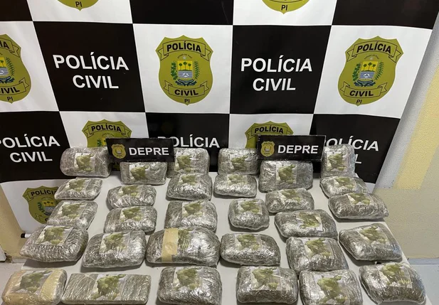 Droga apreendida pela DEPRE