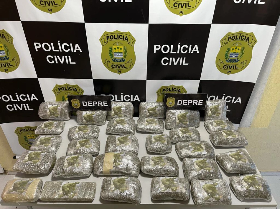 Droga apreendida pela DEPRE