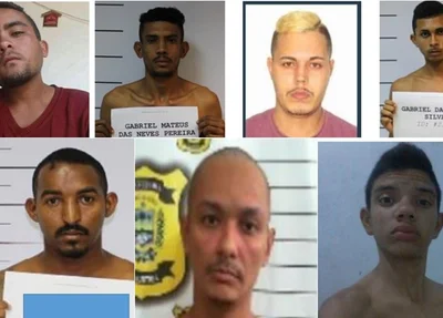 Fotos divulgada pela Polícia Civil