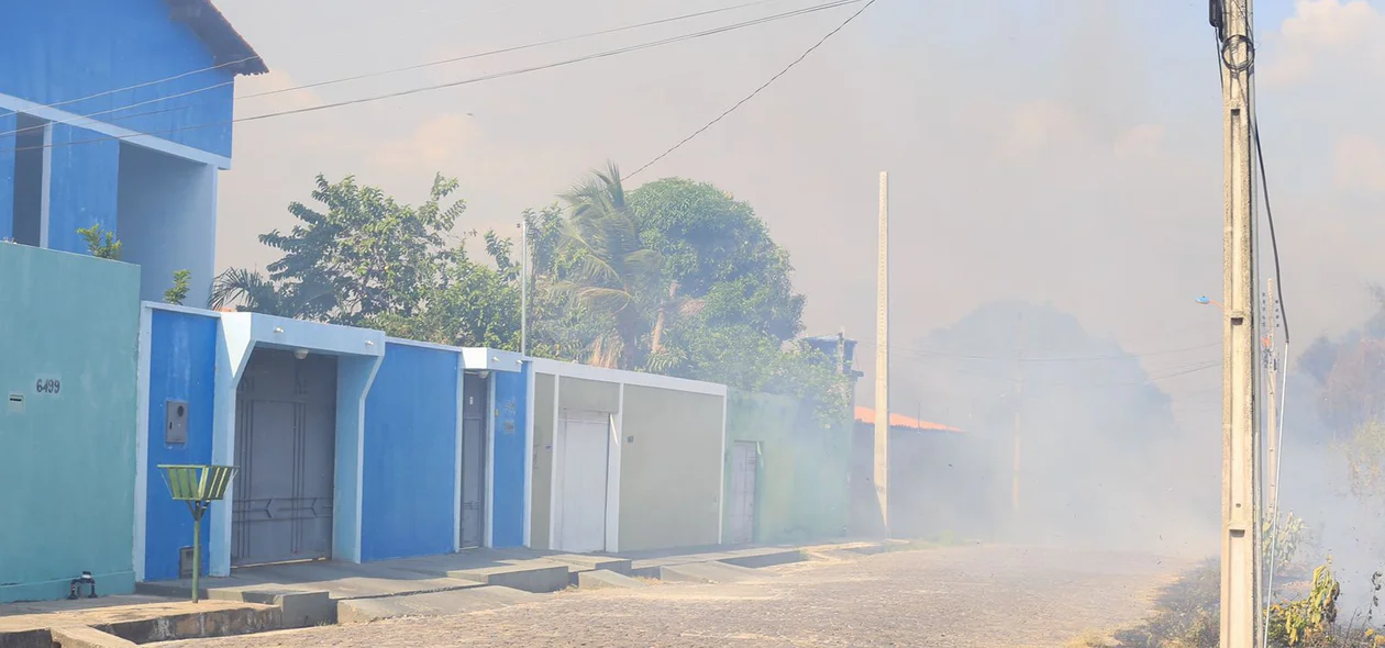 Fumaça toma de conta de residências próximas ao matagal