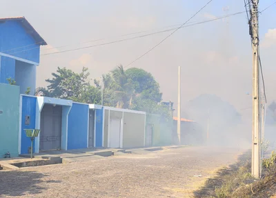 Fumaça toma de conta de residências próximas ao matagal