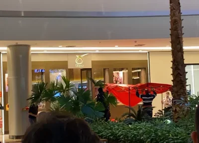 Mulher é morta em assalto a joalheira em shopping no Ceará