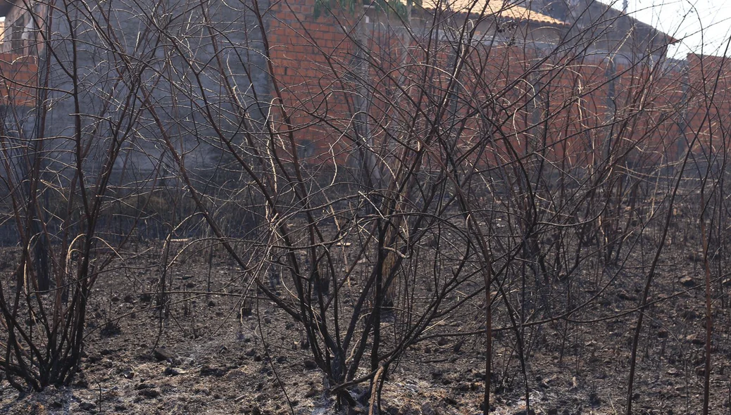 O incêndio se espalhou e esteve próximo às casas no loteamento Orgmar Monteiro