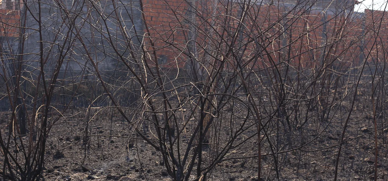 O incêndio se espalhou e esteve próximo às casas no loteamento Orgmar Monteiro