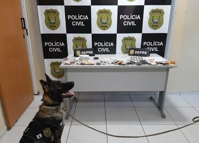 Objetos apreendidos com a dupla