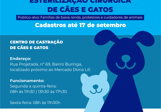 Prefeitura de Oeiras abre edital para esterilização de cães e gatos