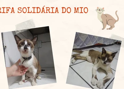 Rifa Solidária