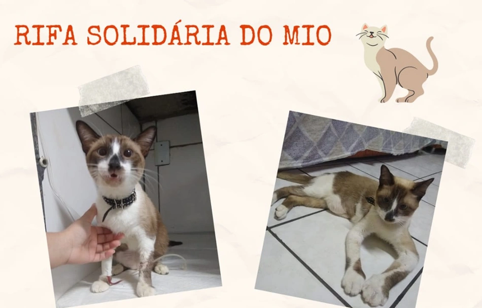 Rifa Solidária