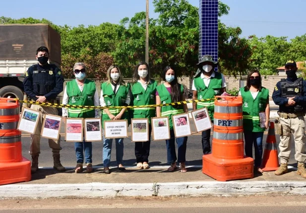 A blitz educativa aconteceu no posto da PRF de Floriano