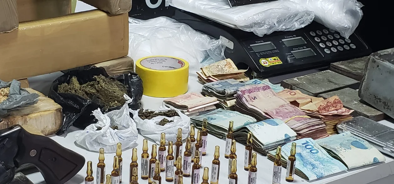 Ação policial resultou em uma grande apreensão