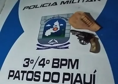 Arma de fogo apreendida