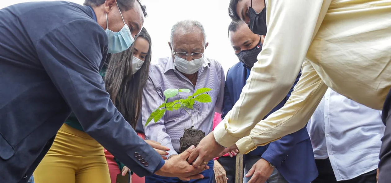 Árvore plantada durante inauguração da CMEI