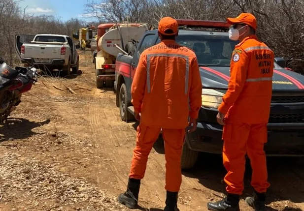 Bombeiros realizam força-tarefa para combater focos de incêndios no Piauí