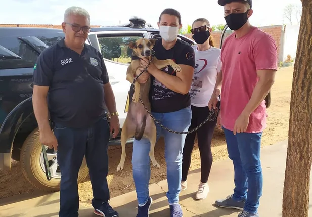 Cadela foi resgatada