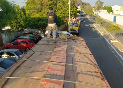 Carga de cigarro apreendida