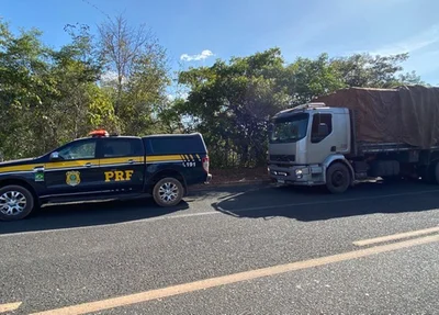 Carga de madeira apreendida pela PRF em Matias Olimpio