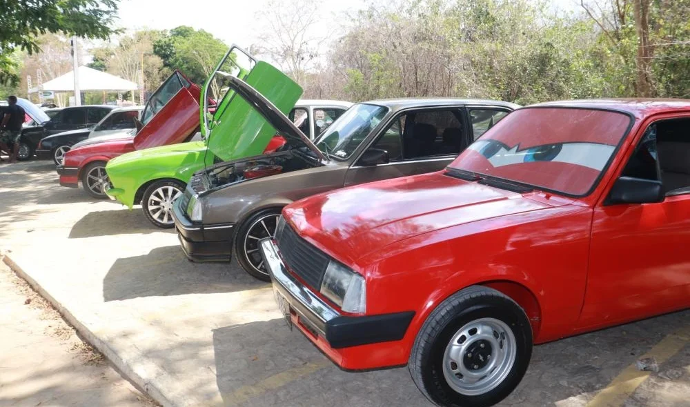 Carros em exposição