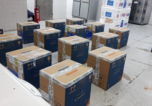 Estado do Piauí recebe mais de 200 mil vacinas contra a covid-19