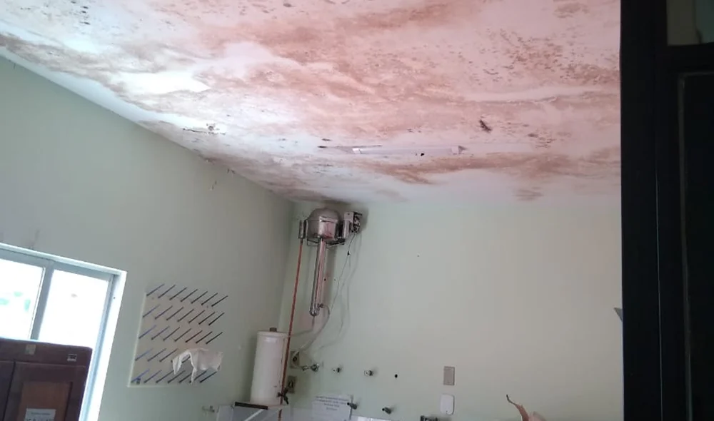 Infiltrações no teto do Lacen