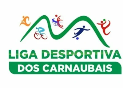 Liga desportiva dos carnaubais