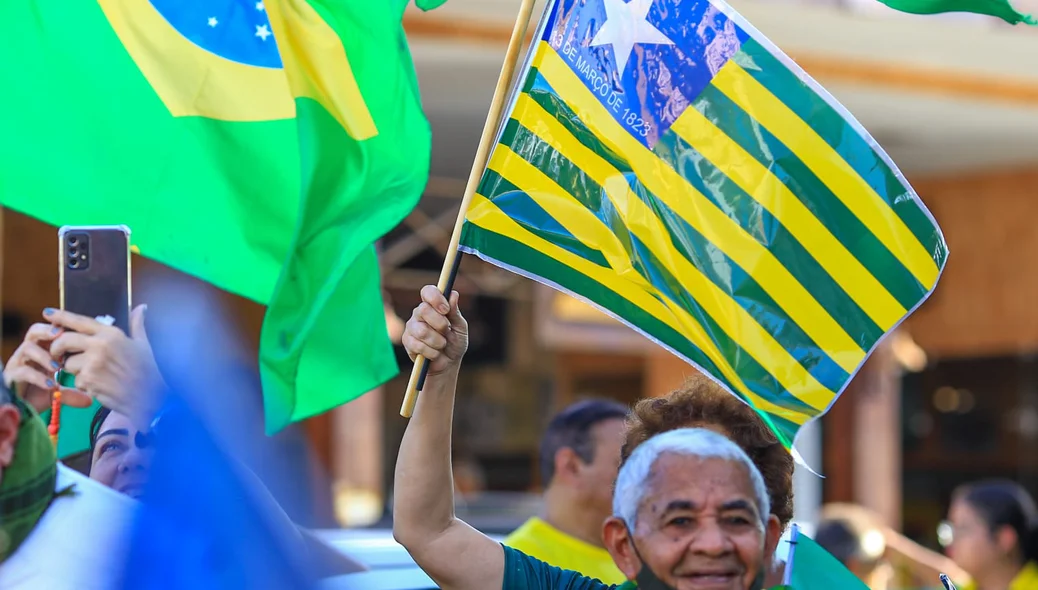 Manifestante em ato pró-Bolsonaro