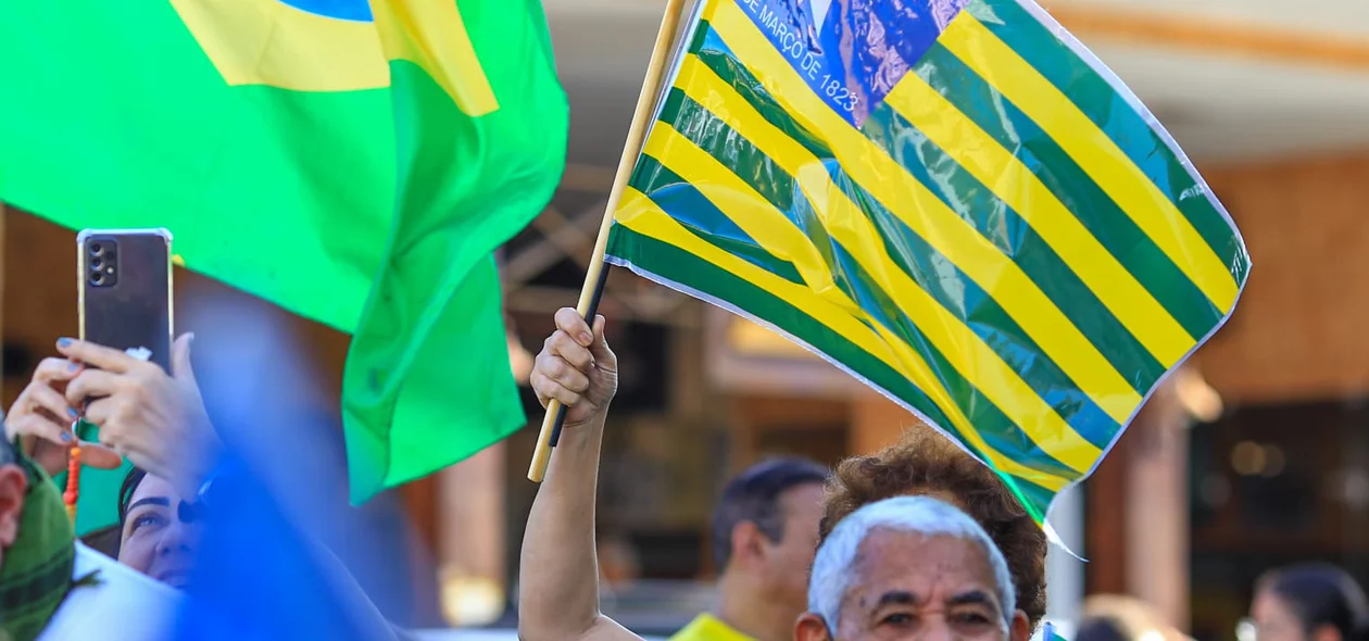 Manifestante em ato pró-Bolsonaro