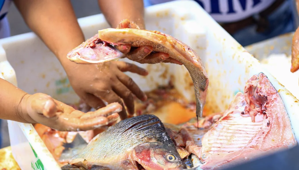 Peixes de qualidade