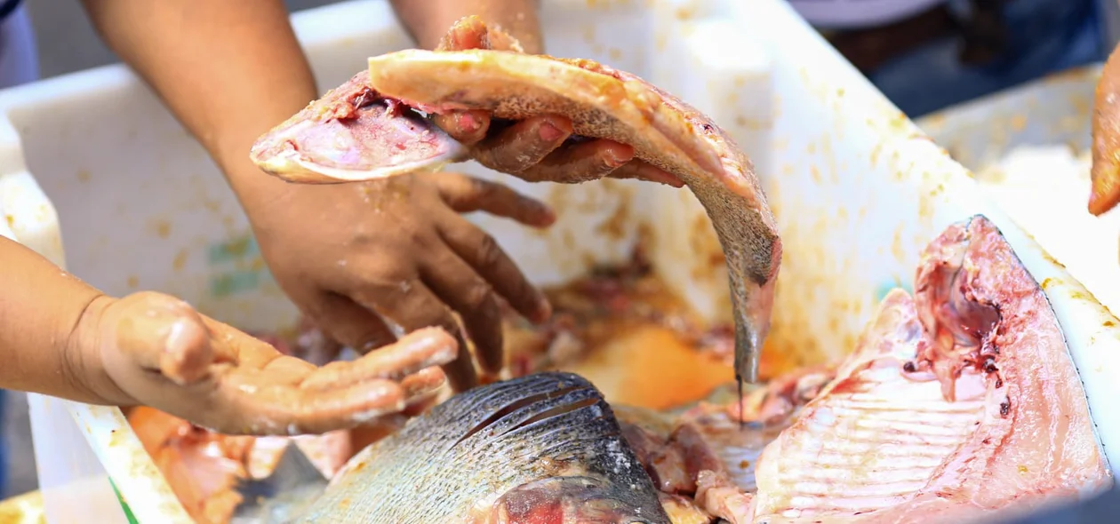 Peixes de qualidade