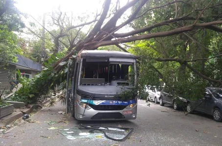 Queda de árvore atingiu ônibus no bairro de Botafogo