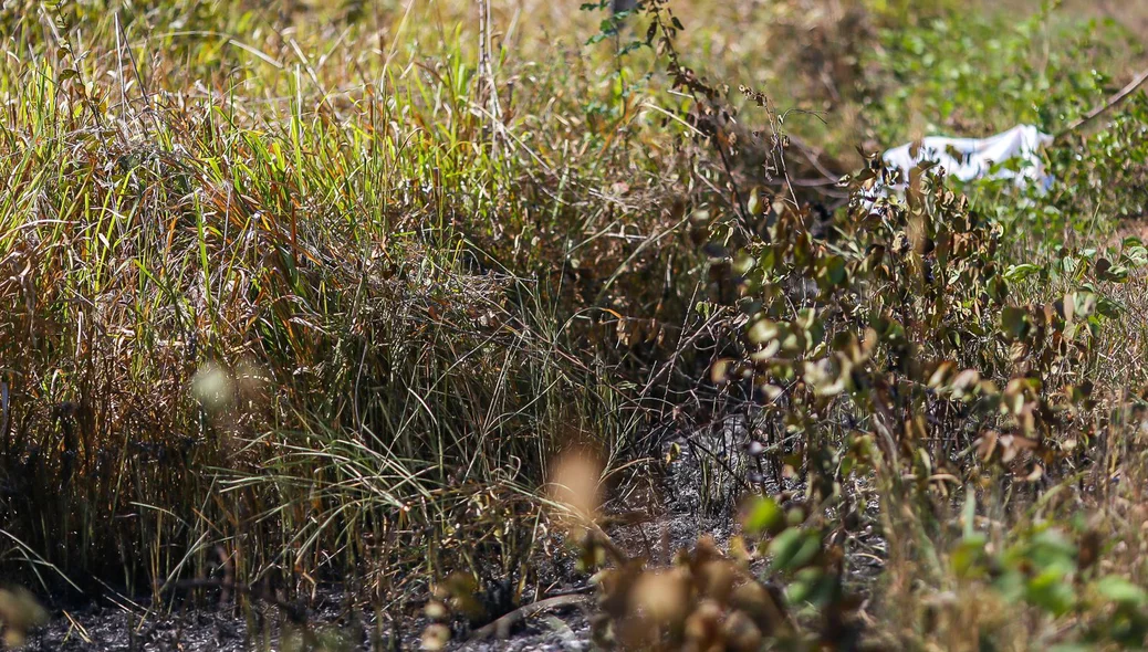 Vegetação também pegou fogo próximo ao corpo