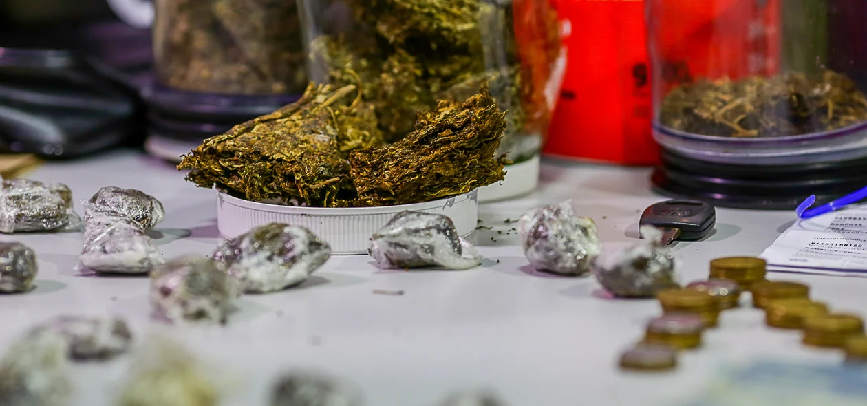 Apreensão de supermaconha em Teresina