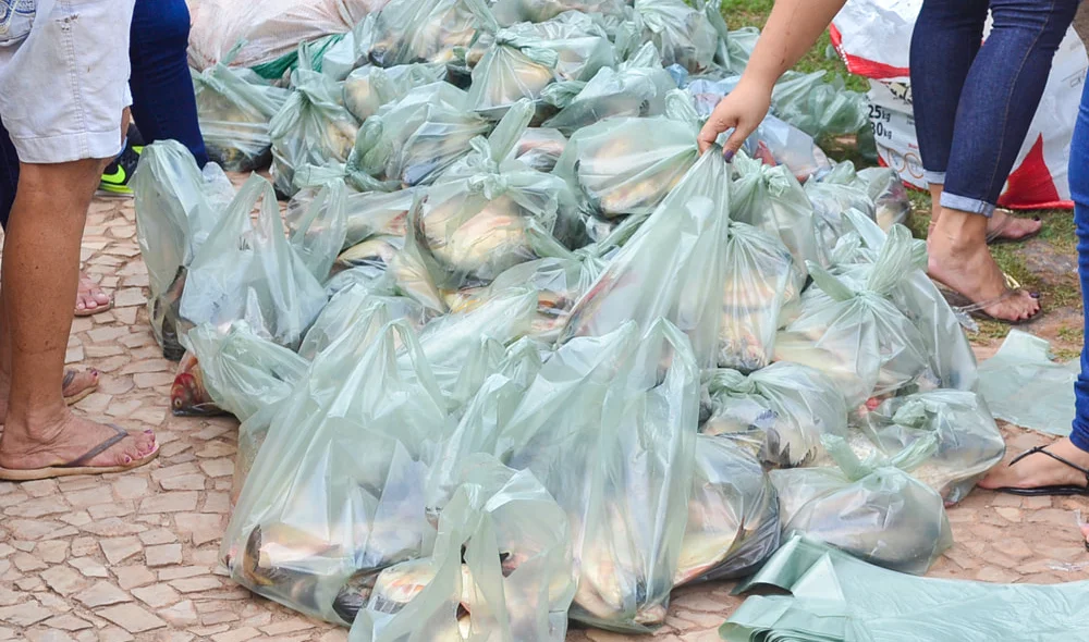 Entrega de peixes em Joaquim Pires