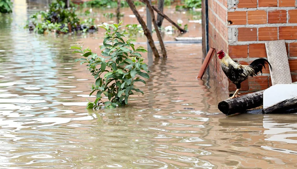 Fortes chuvas em Teresina atingiram moradores da Vila Apolônio, zona Norte de Teresina