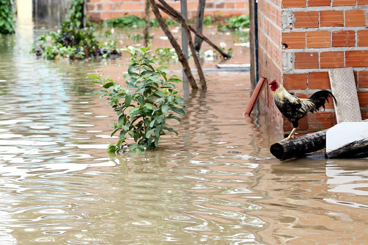 Fortes chuvas em Teresina atingiram moradores da Vila Apolônio, zona Norte de Teresina