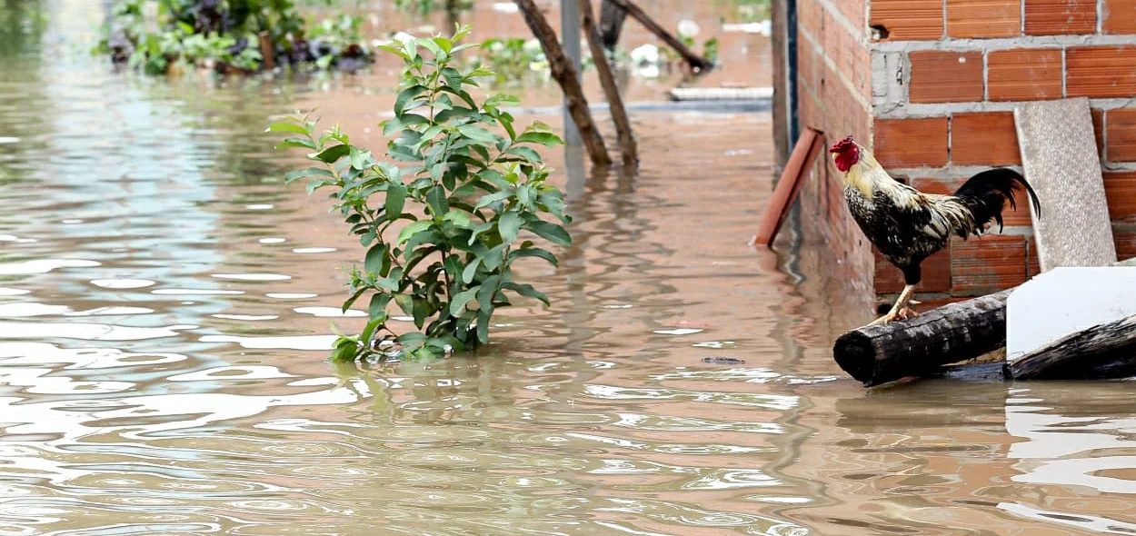 Fortes chuvas em Teresina atingiram moradores da Vila Apolônio, zona Norte de Teresina